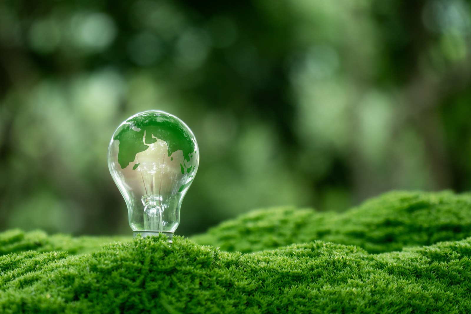 Symbolfoto: Erneuerbare Energie